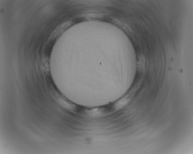 X0000077350430200611101618