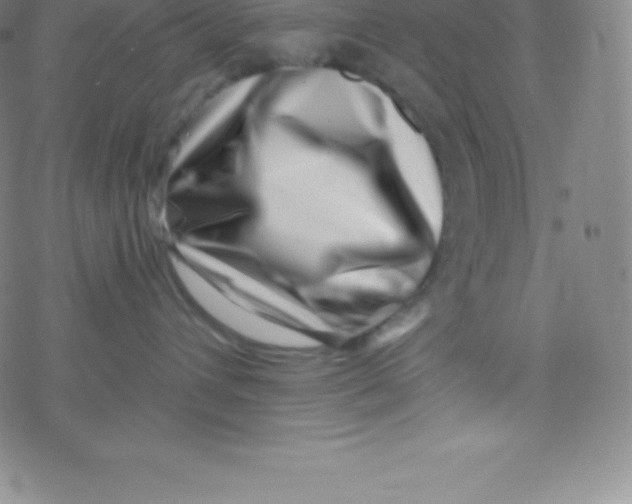 X0000077350432200611101618