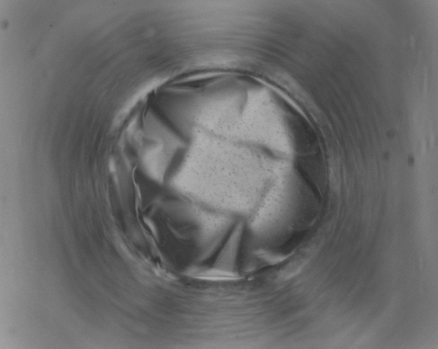 X0000077350434200611101618