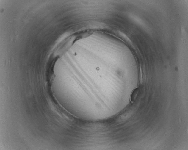 X0000077350435200611101618