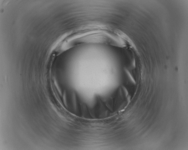 X0000077350436200611101618