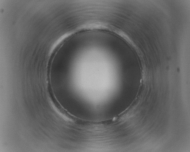 X0000077350438200611101618