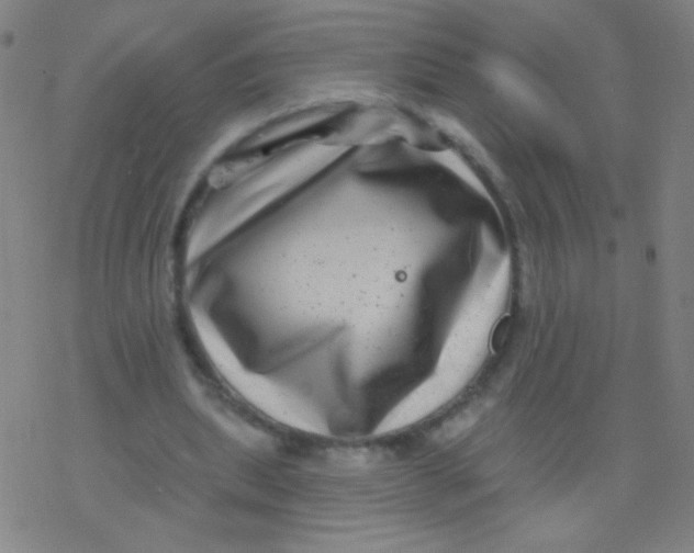 X0000077350439200611101618