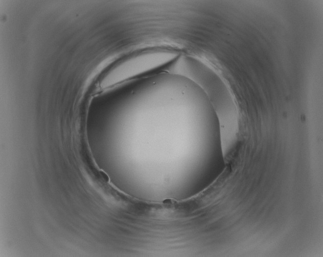 X0000077350440200611101618