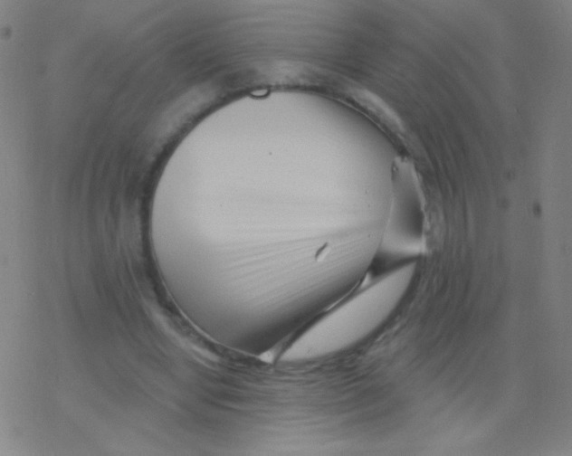 X0000077350442200611101618