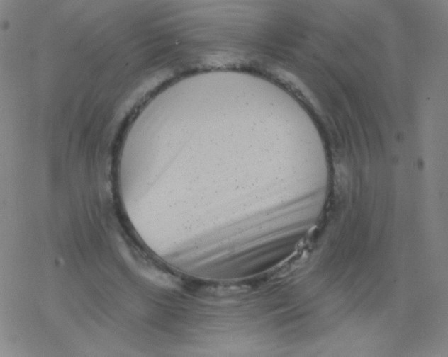 X0000077350443200611101618