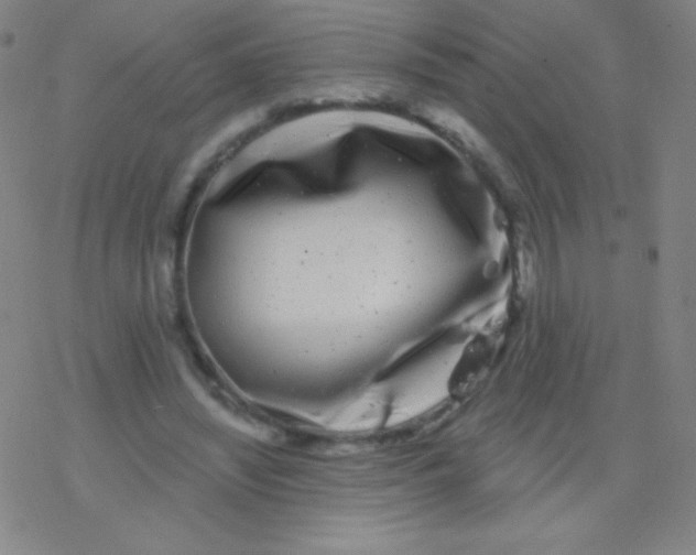 X0000077350444200611101618