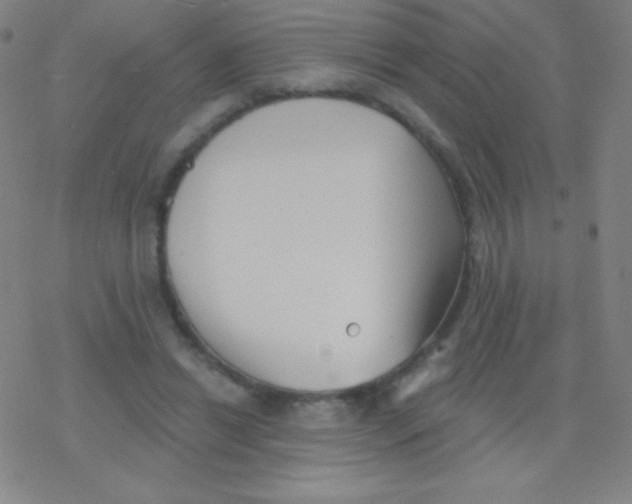 X0000077350446200611101618