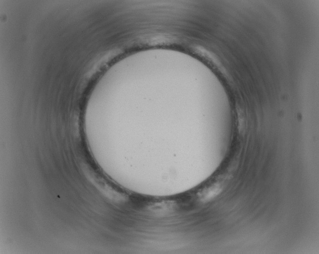 X0000077350447200611101618