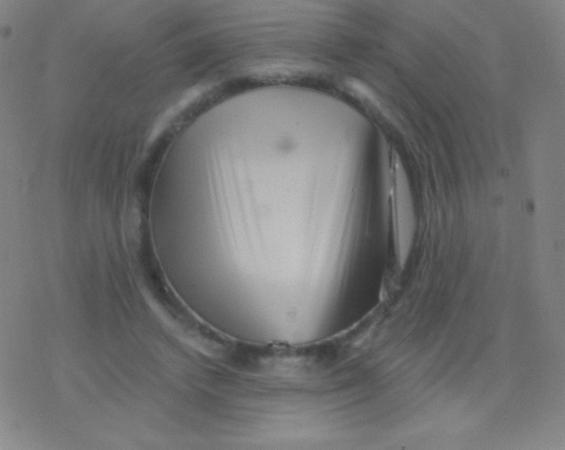 X0000077350448200611101618