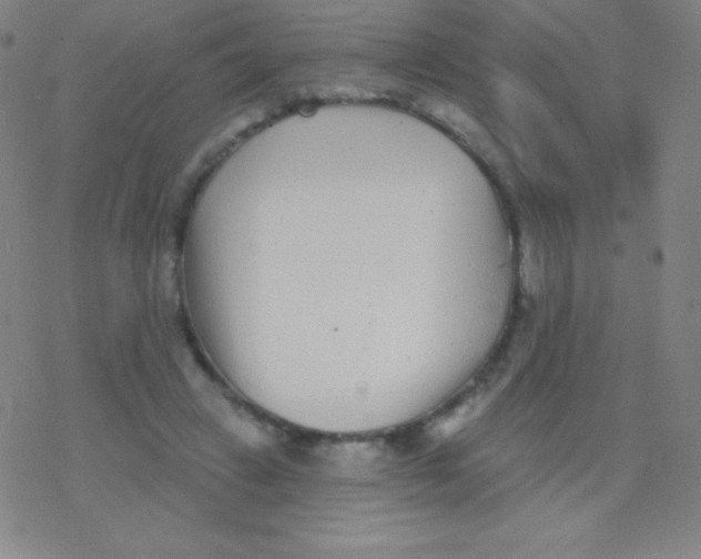 X0000077350449200611101618