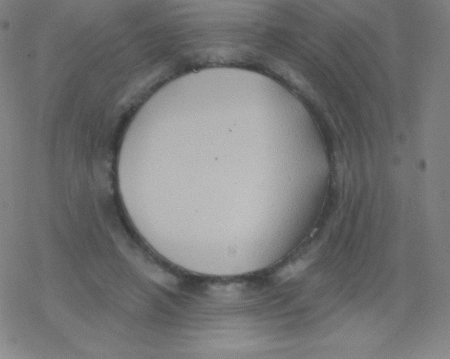 X0000077350450200611101618