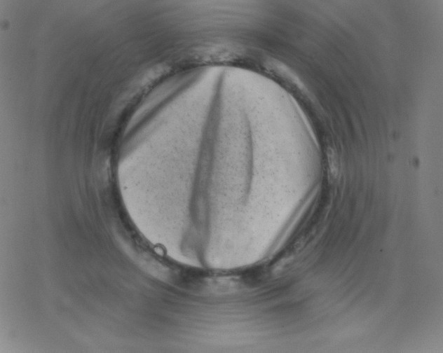 X0000077350451200611101618