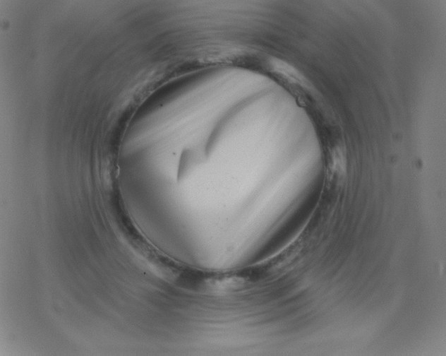 X0000077350452200611101618