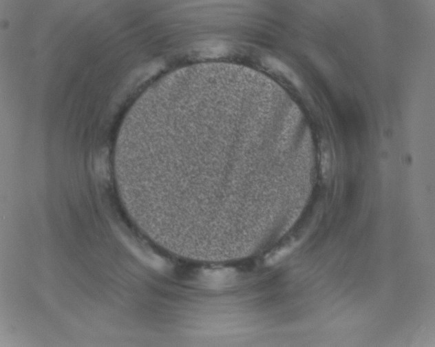 X0000077350455200611101618