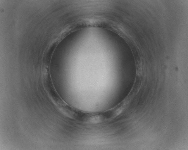 X0000077350456200611101618