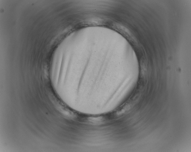 X0000077350457200611101618