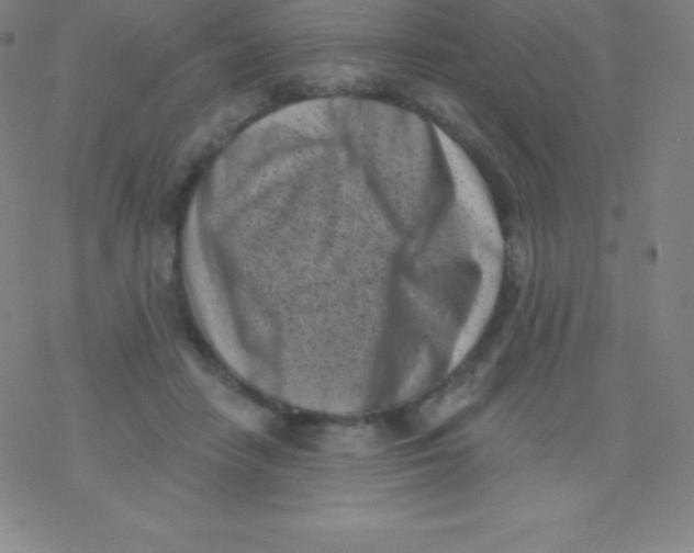 X0000077350458200611101618