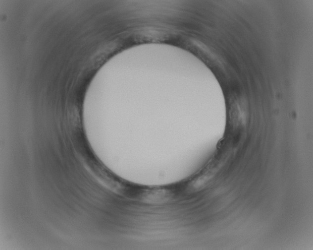 X0000077350459200611101618