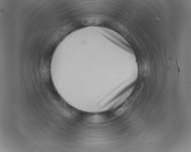 X0000077350460200611101618