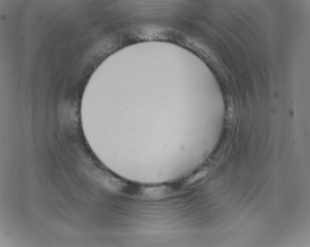 X0000077350461200611101618