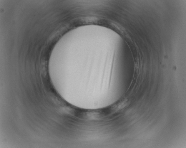 X0000077350462200611101618