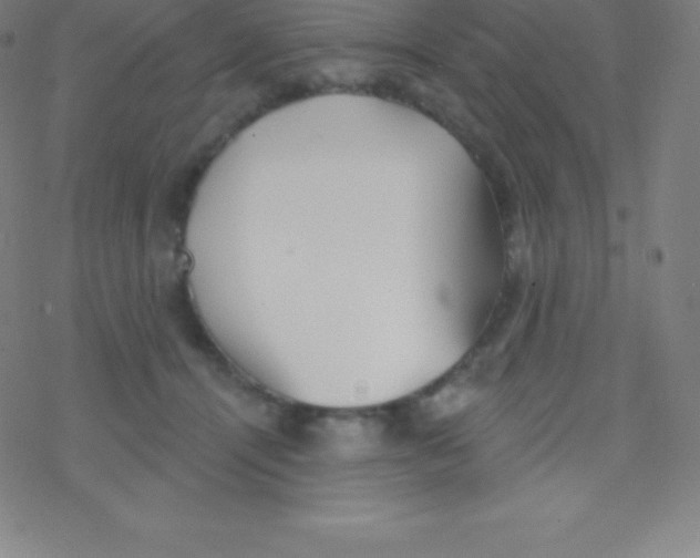 X0000077350464200611101618