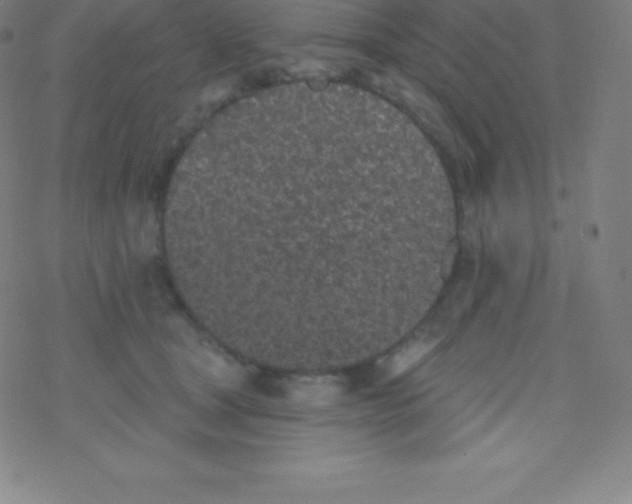 X0000077350465200611101618