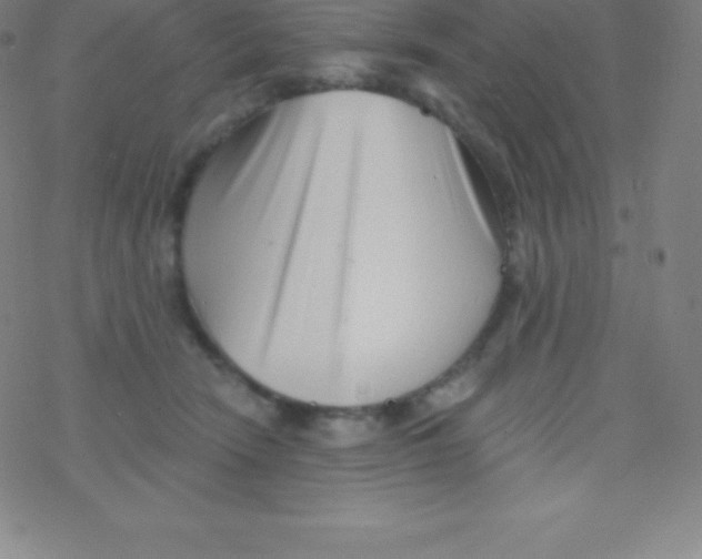 X0000077350466200611101618