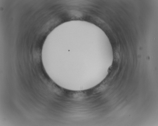 X0000077350468200611101618