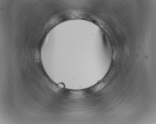 X0000077350469200611101618