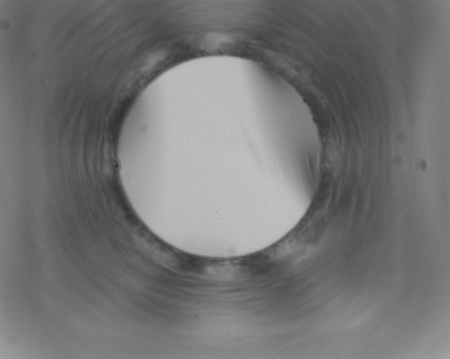 X0000077350470200611101618