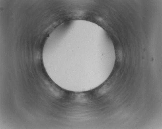 X0000077350472200611101618