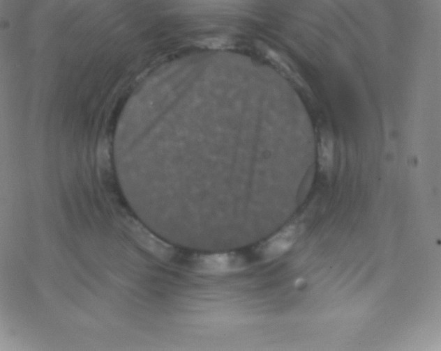 X0000077350473200611101618