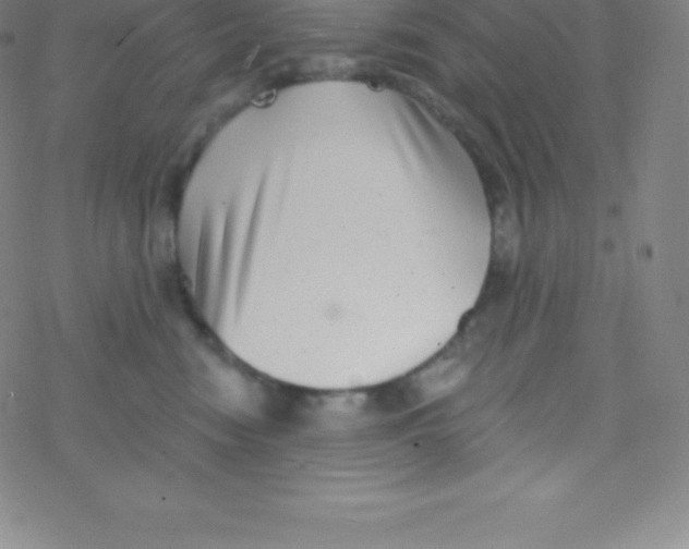 X0000077350474200611101618