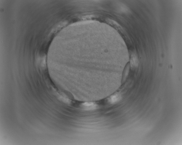 X0000077350477200611101618