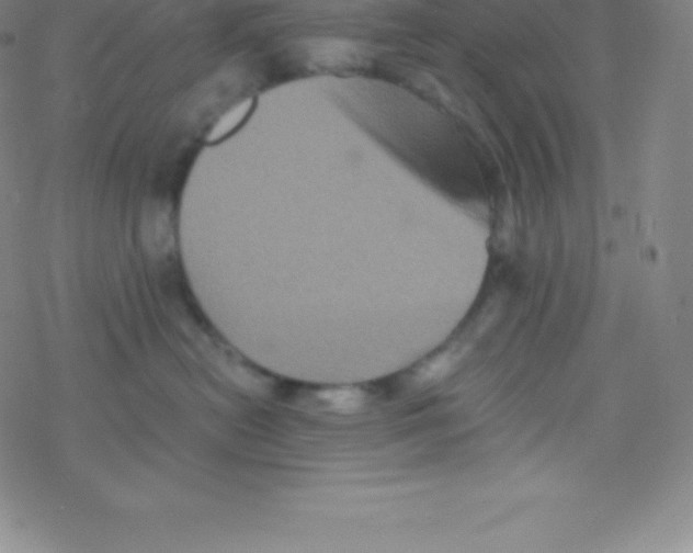 X0000077350478200611101618