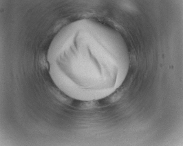 X0000077350479200611101618