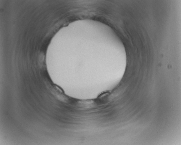 X0000077350480200611101618