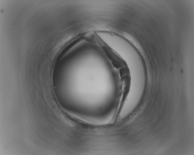 X0000077350481200611101618