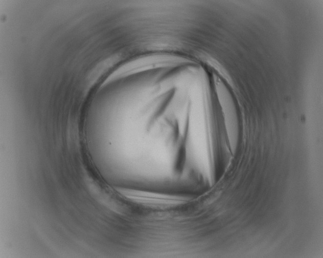 X0000077350482200611101618