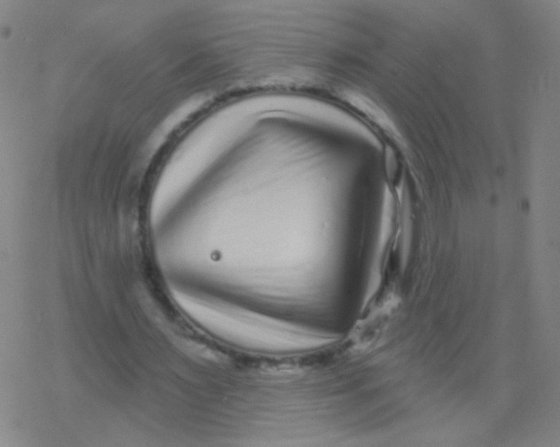 X0000077350483200611101618