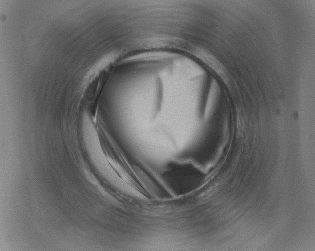 X0000077350485200611101618