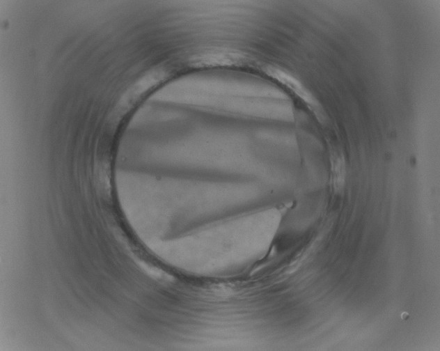 X0000077350489200611101618