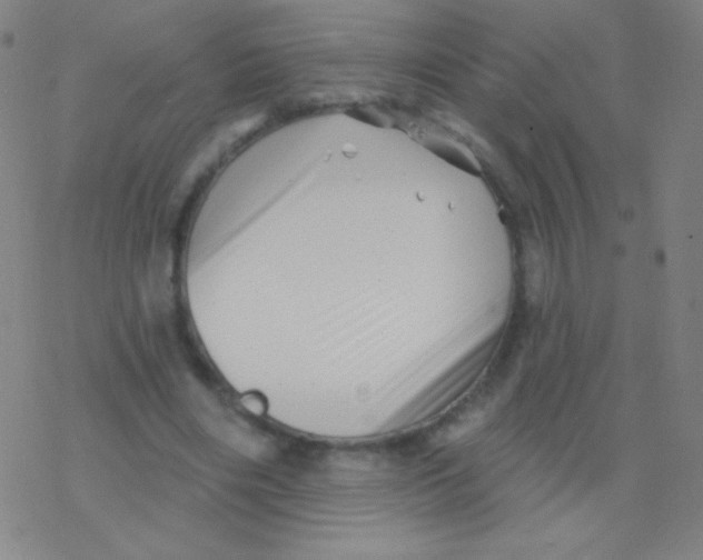 X0000077350490200611101618