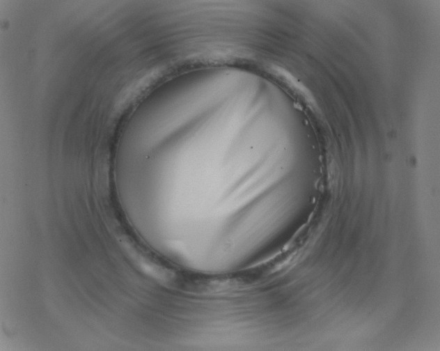 X0000077350493200611101617