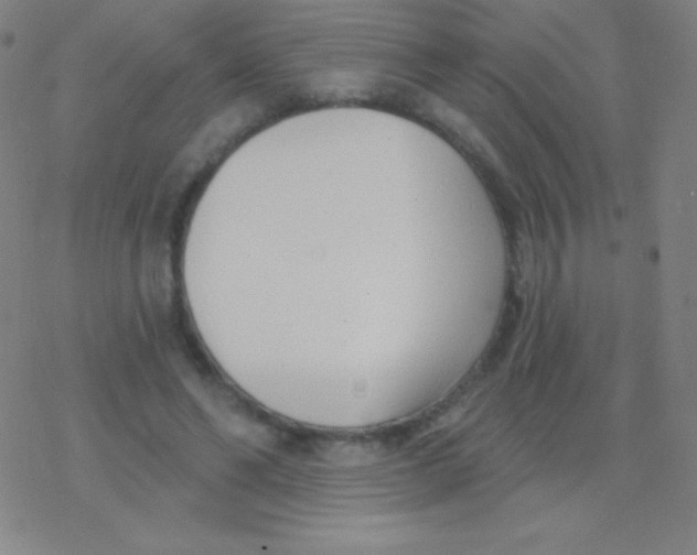 X0000077350494200611101617