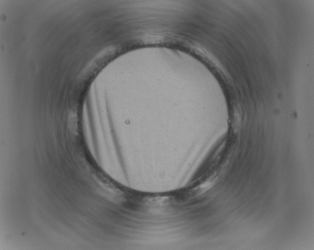 X0000077350497200611101617