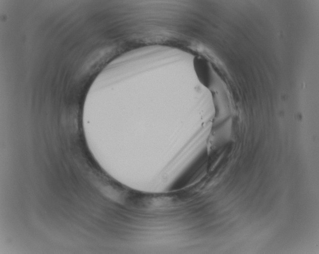 X0000077350501200611101617