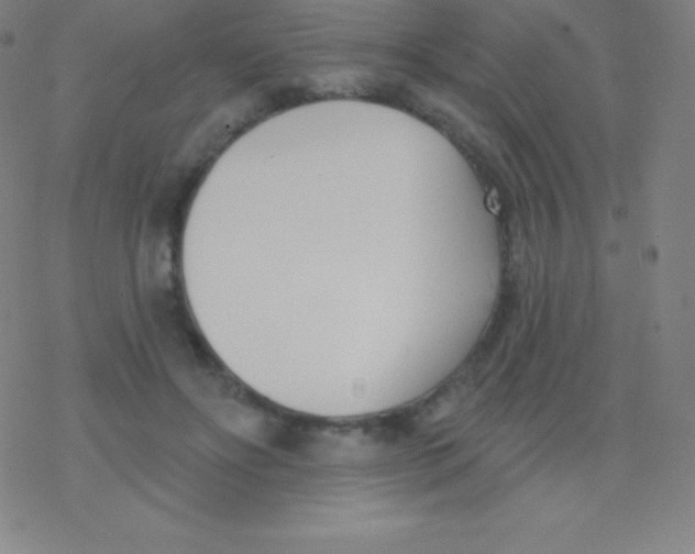 X0000077350502200611101617